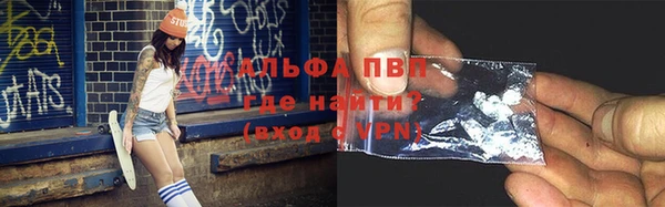 гашик Богданович