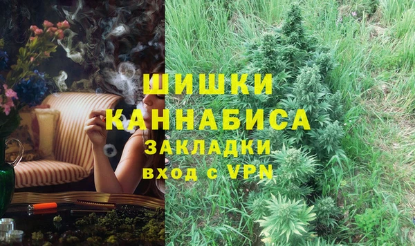 гашик Богданович
