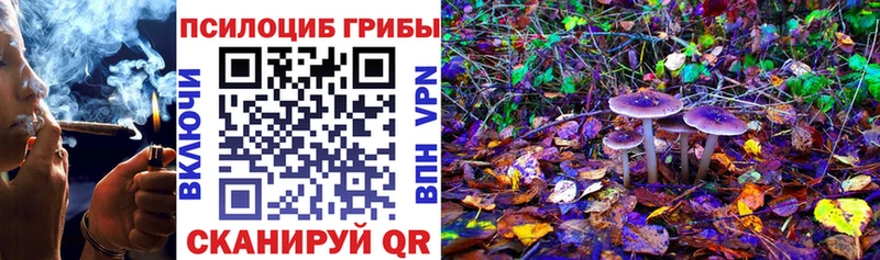 Купить закладки  Гудермес  Галлюциногенные грибы прущие грибы 